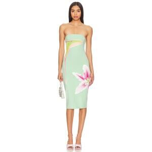 Tyler McGillivary Luna Moth Green Gloral Bodycon Stretch Tea Resort NWT Dress XS
